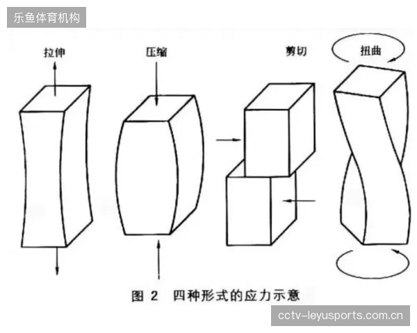 传统工艺的数字化生存：到2028年，每一块拥有“数字身份”的马臀皮，其抗张拉剪切形变质检数据都将公开可溯源